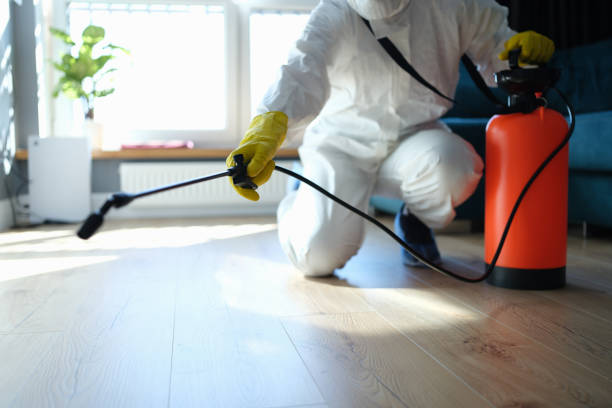 Reliable Hoarding Cleanup contractor in Belleville, NJ by Crime Scene Cleaner Online